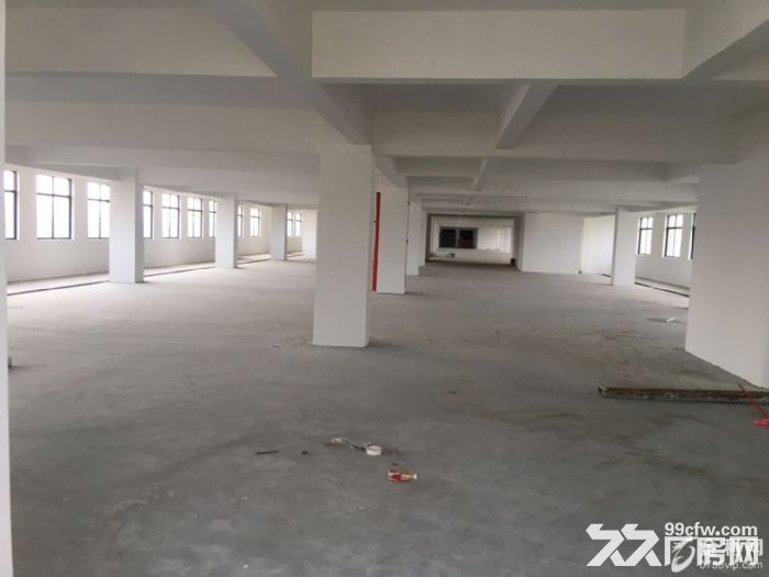 肇庆高要全新大厂房出租、可做污染业、适合广佛深地区不能办环评的企业-图6