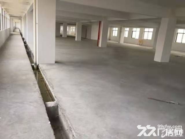 全新厂房出租  可排污可办环评